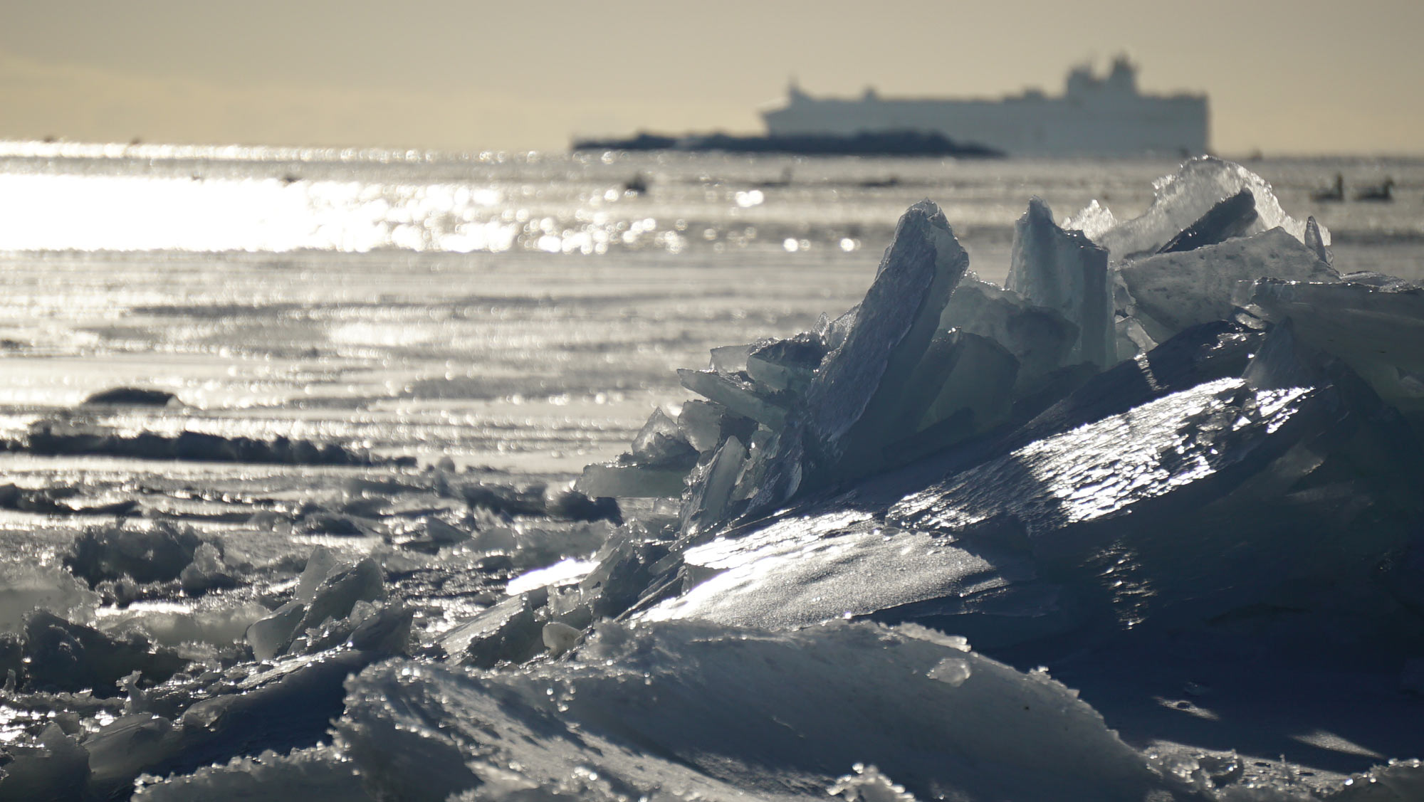 Keskustele Minun merreni -elokuvan herättämistä ajatuksista, tunteista ja omista luontokokemuksista