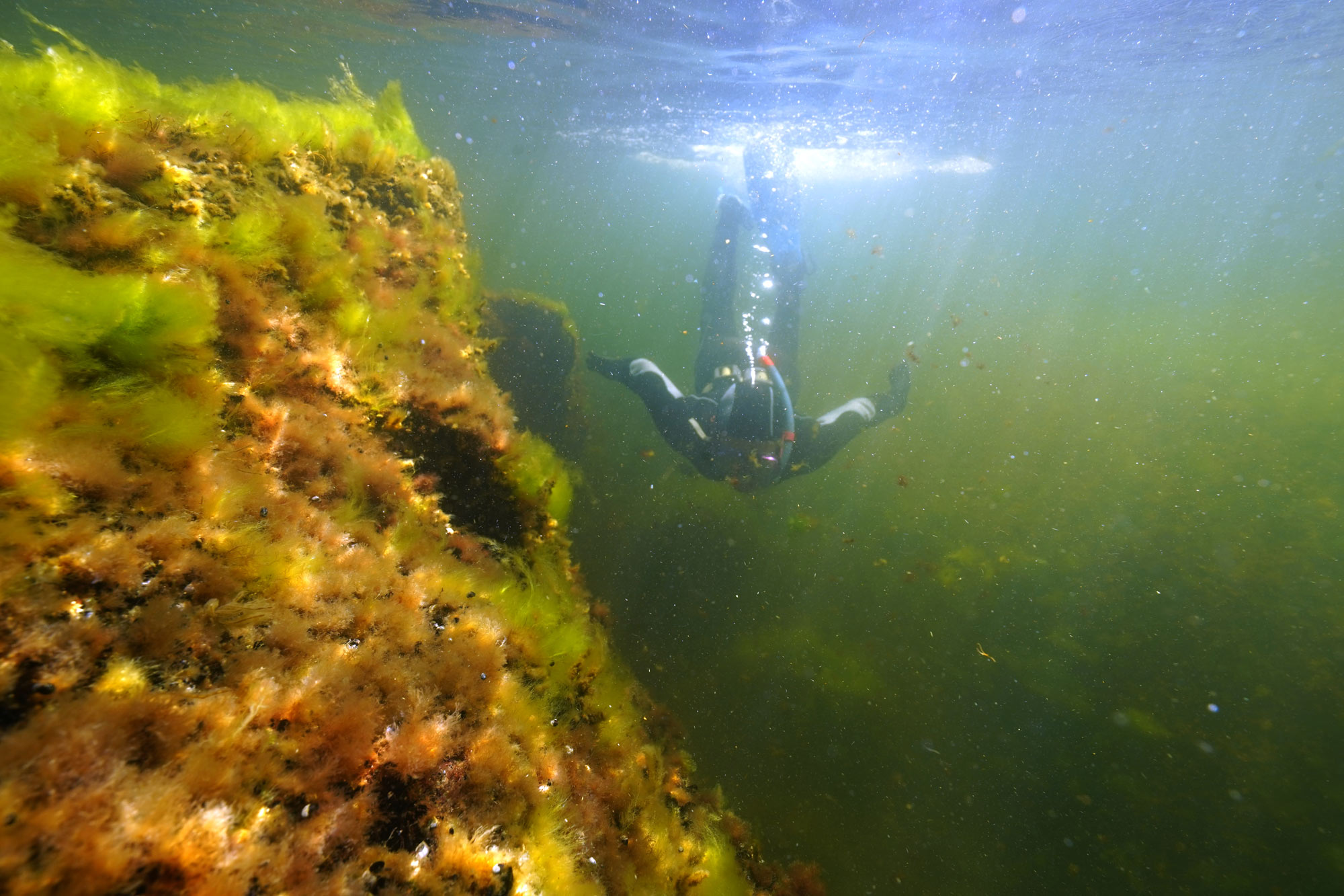 Kirjoita merellinen tarina -tehtävä, sukeltaja sukeltamassa