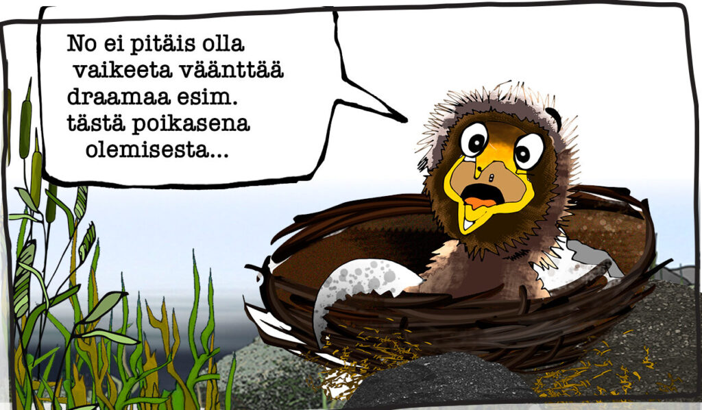 Innostu Itämerestä, Linnun poikanen