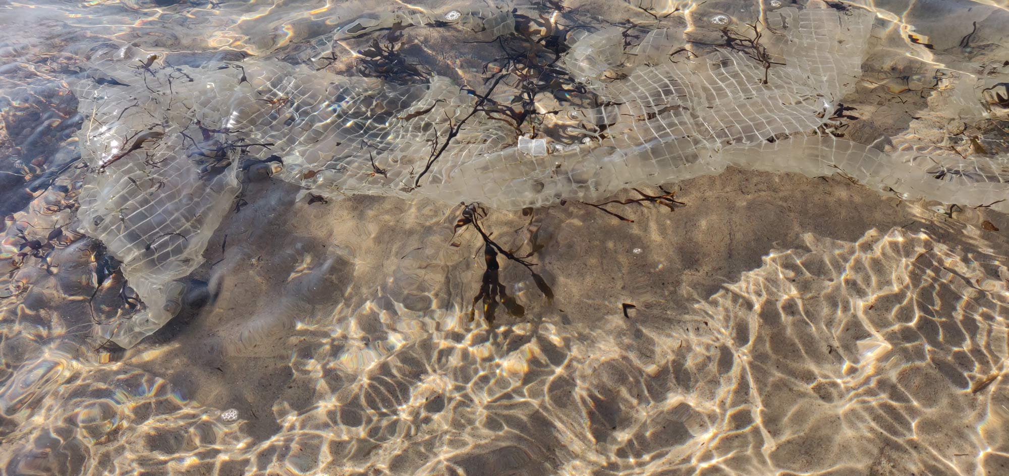 Retki merenrannalle: Tutki meriroskaa -tehtävä, roskia meressä