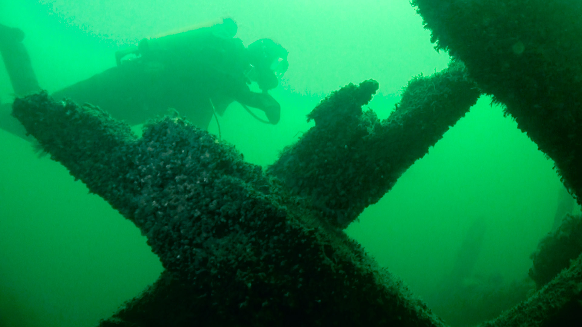 Tutustu sukeltamiseen -tehtävä, sukeltaja meressä