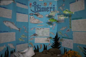 Meidän meremme, elämää pinnan alla