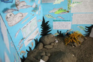 Meidän meremme, elämää pinnan alla